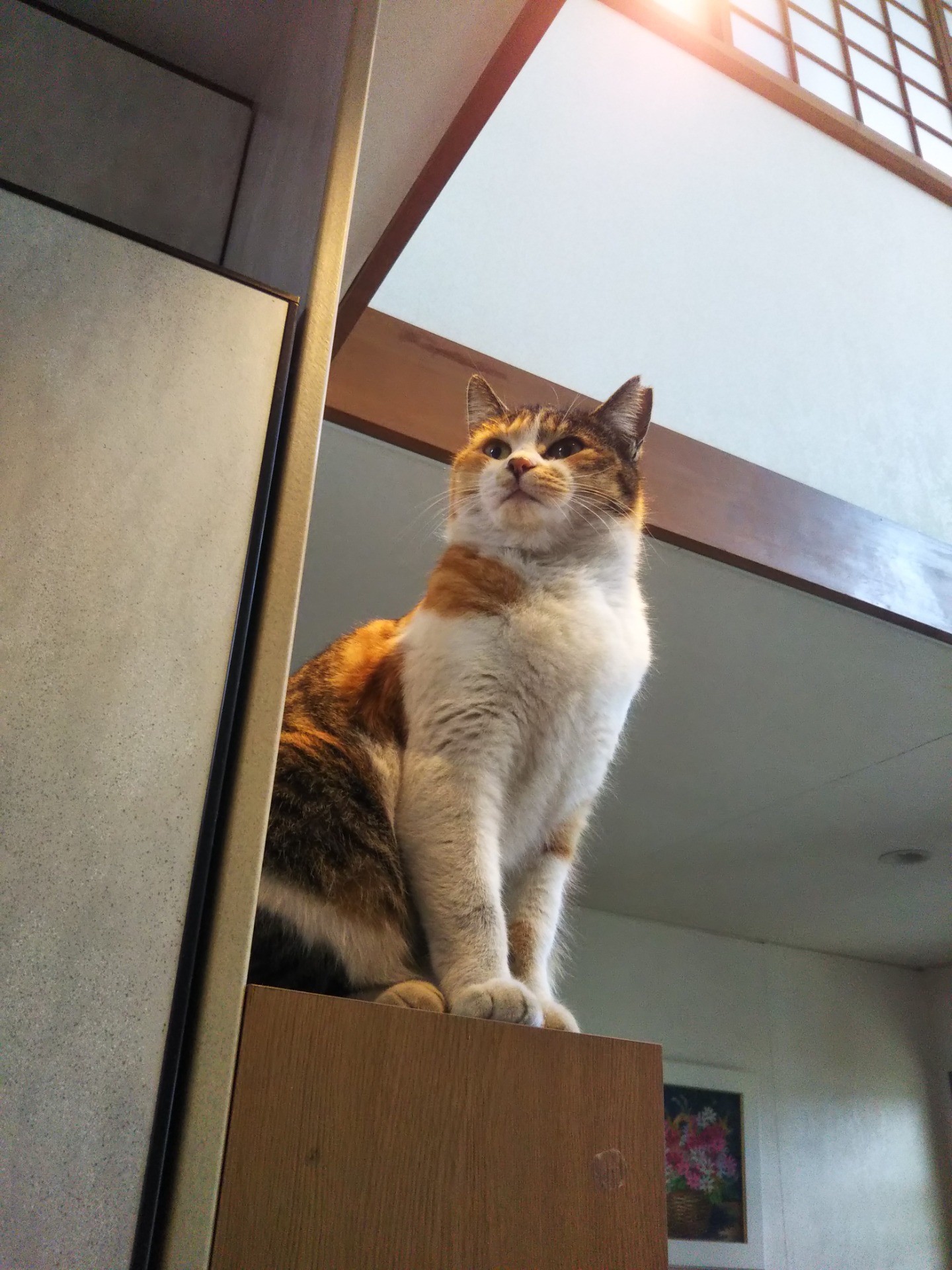 いい眺め