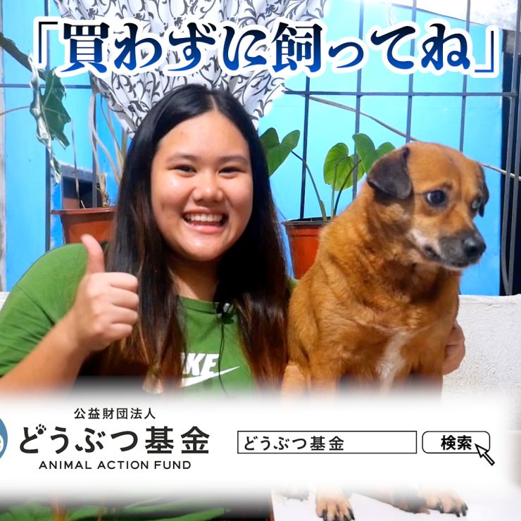 買わずに飼ってね