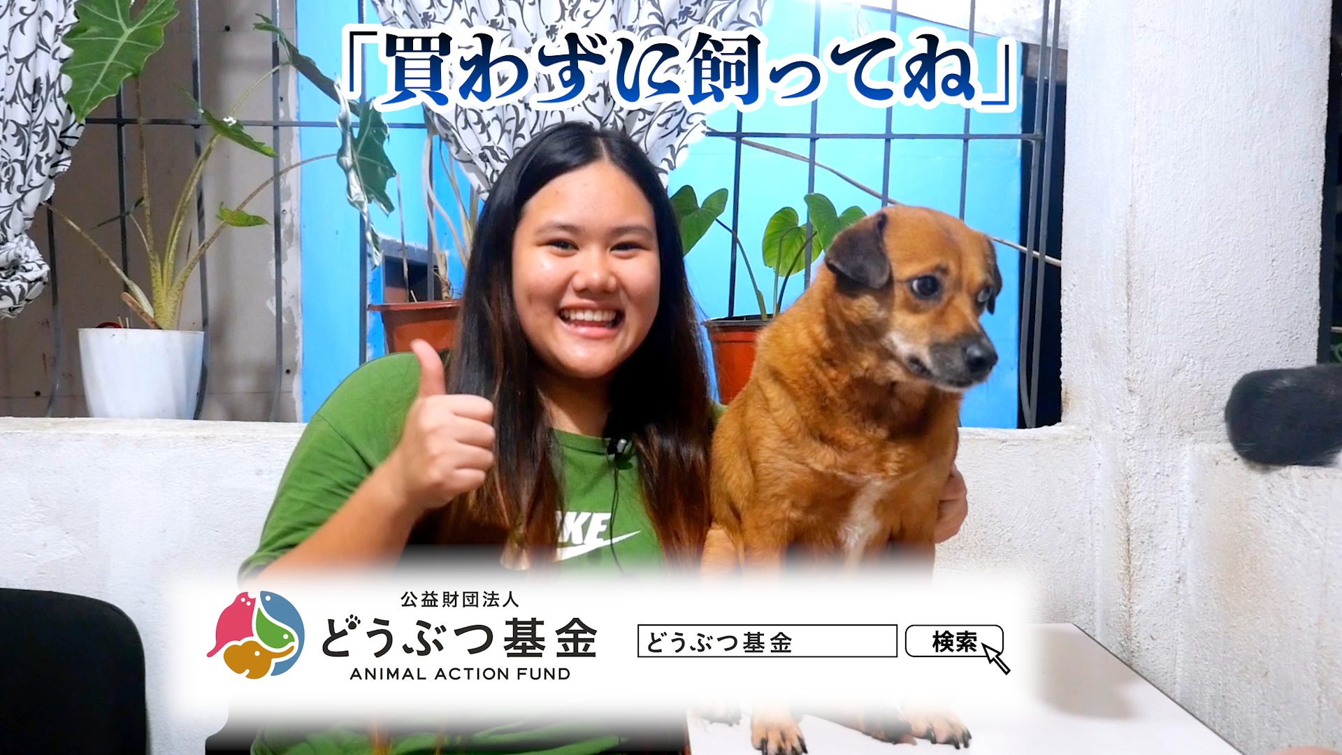 買わずに飼ってね