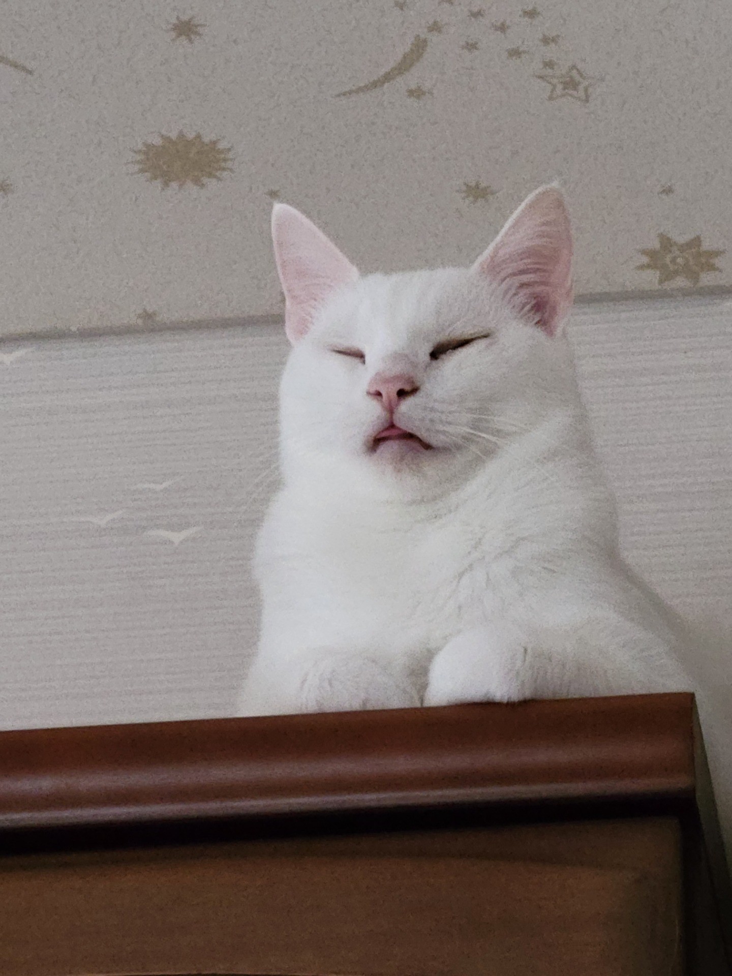 平和な日々