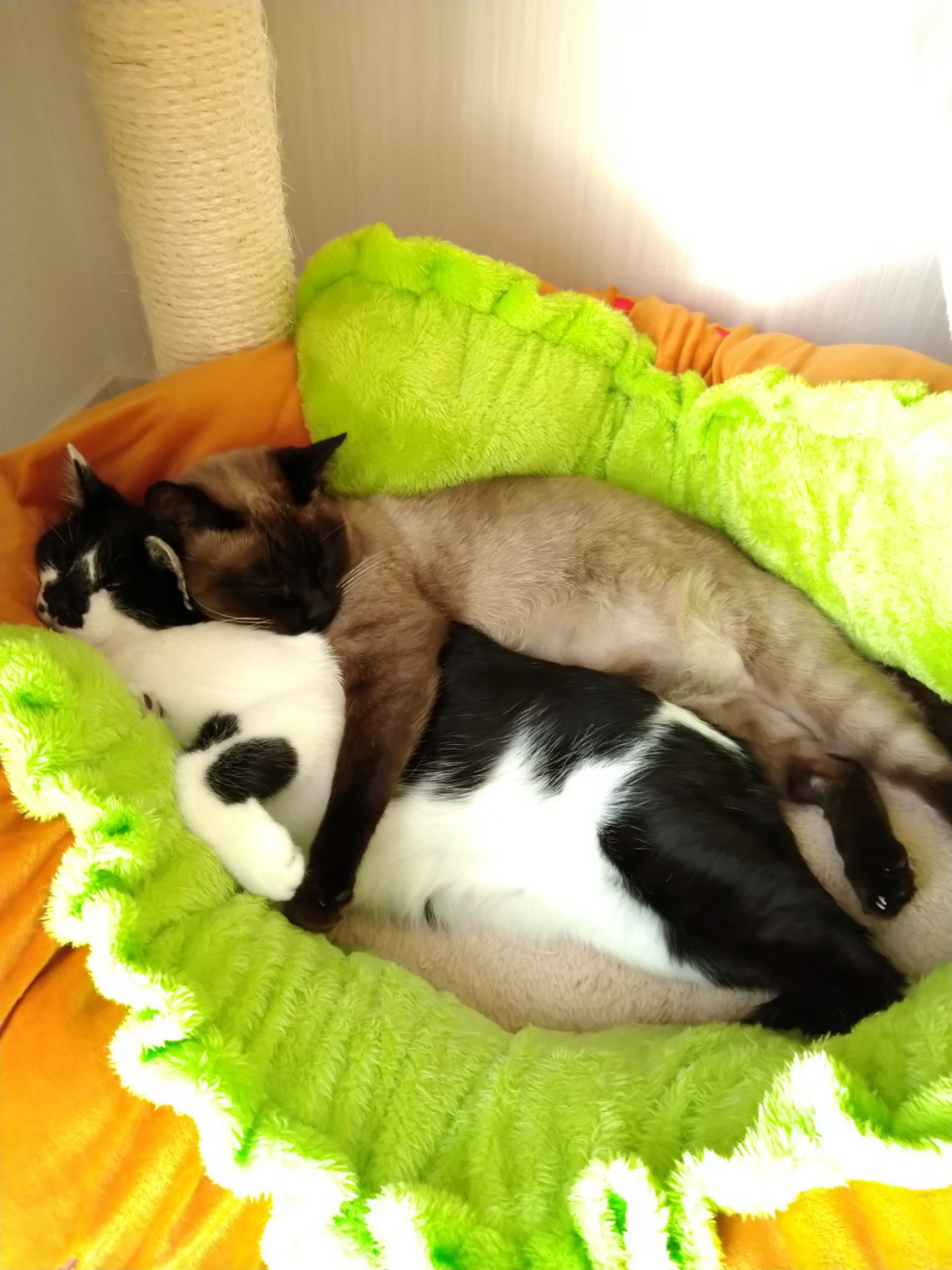 く、苦しいよぉ〜