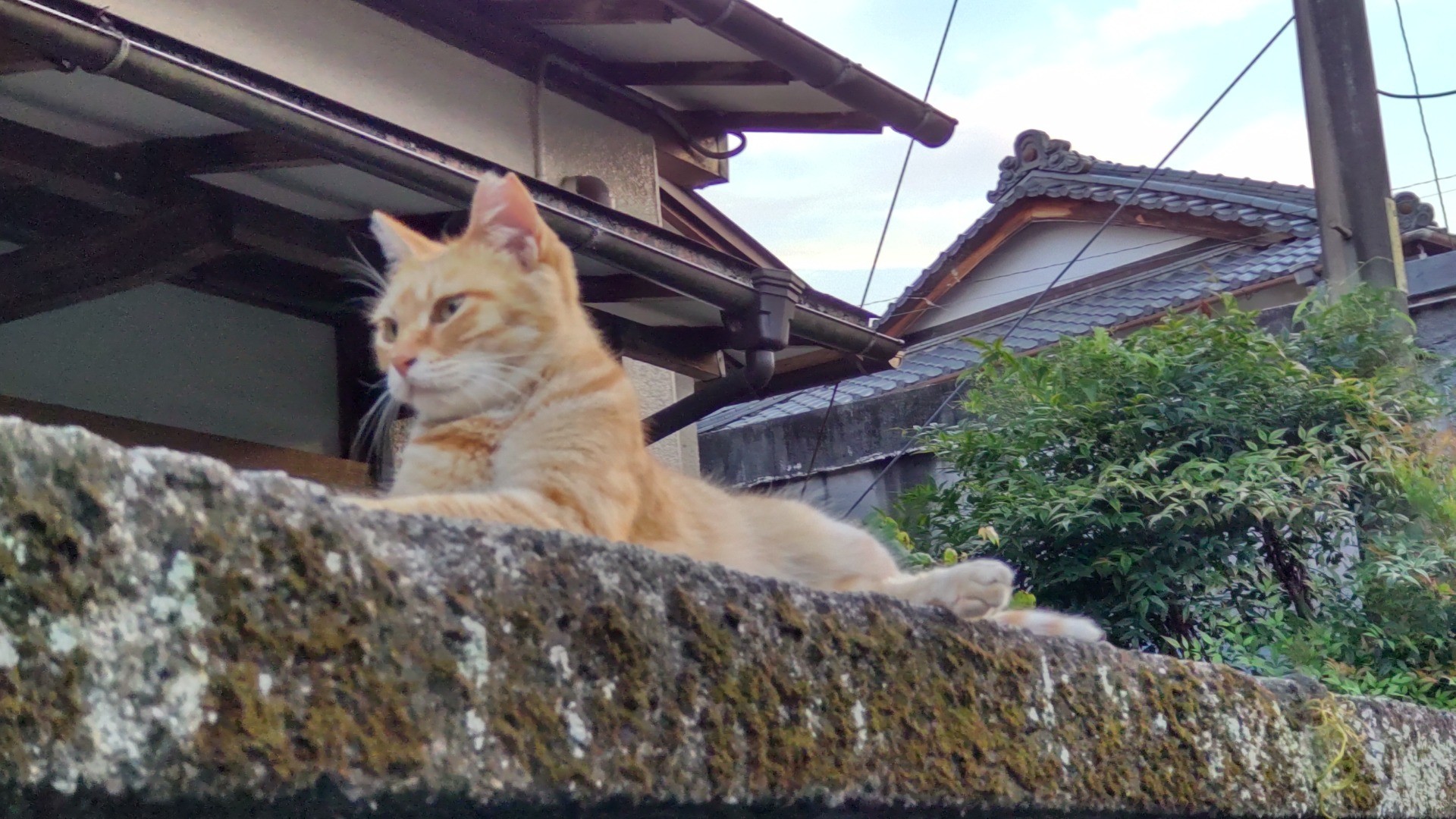 夕涼み