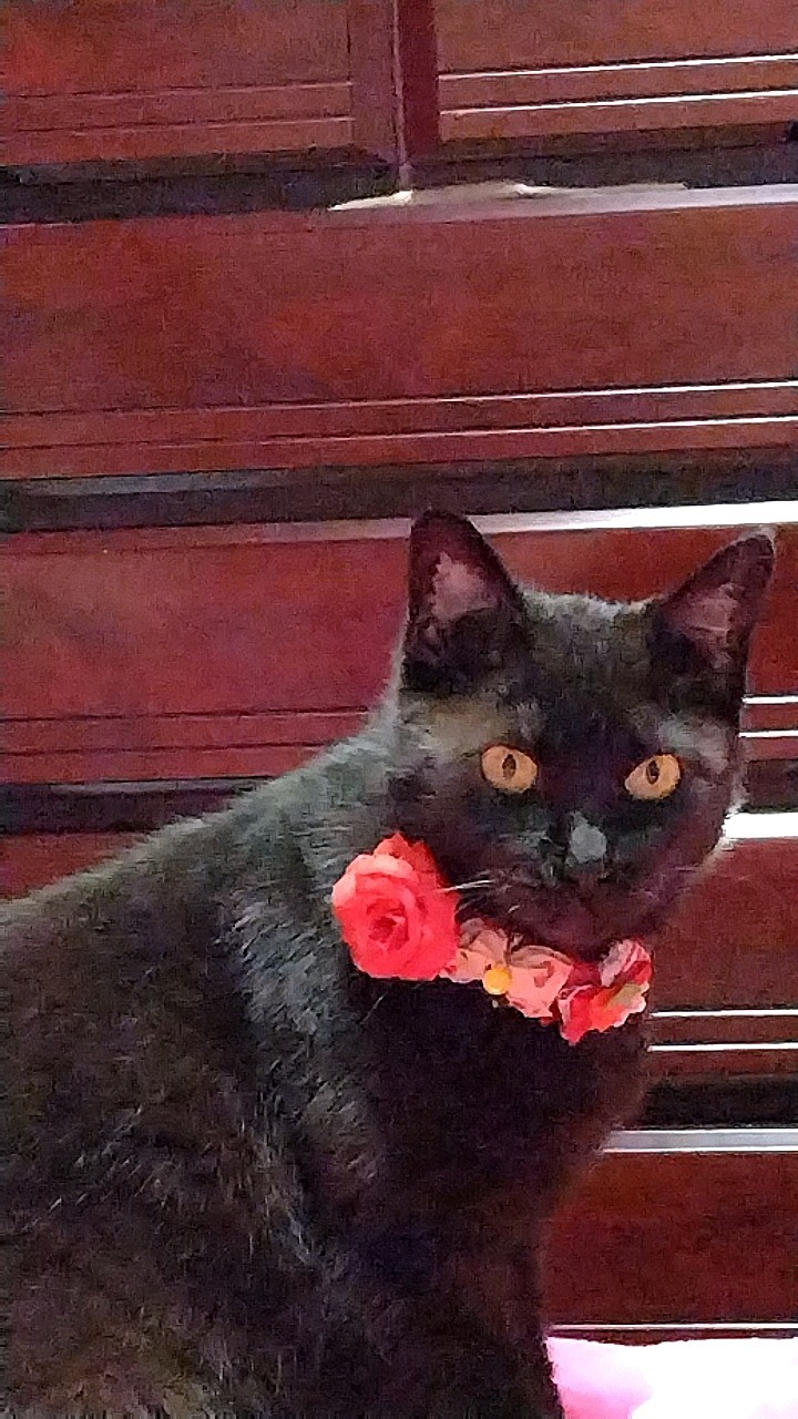 初めての、おしゃれ♡