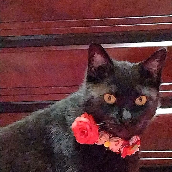 初めての、おしゃれ♡