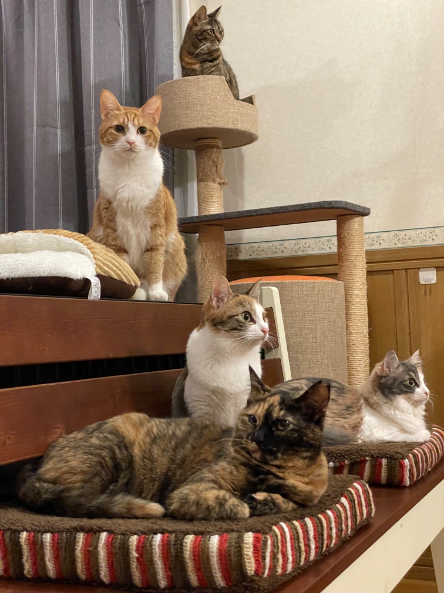 家族写真