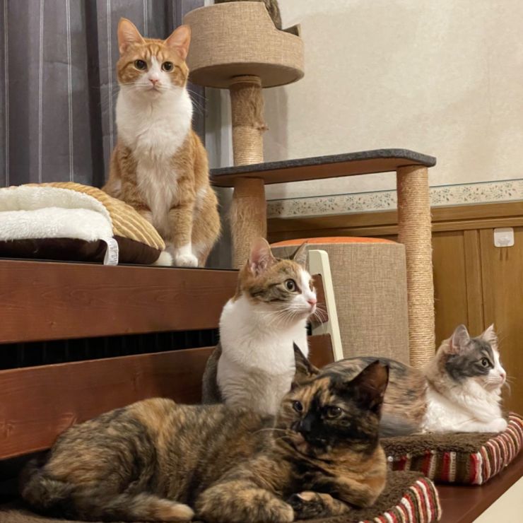 家族写真