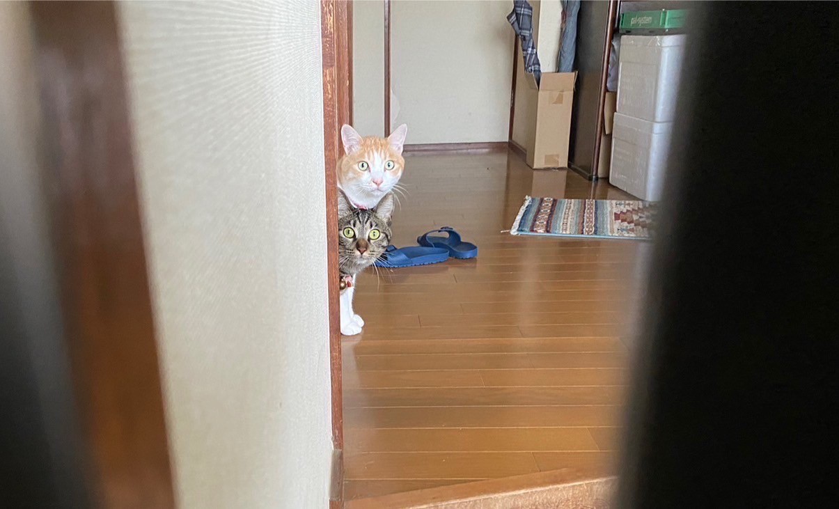 どなた？