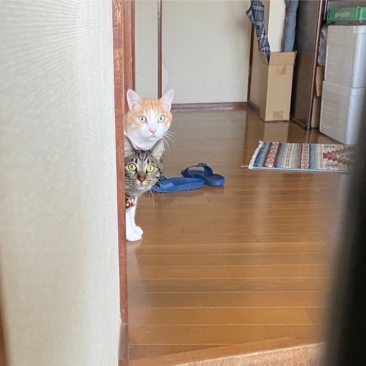 どなた？