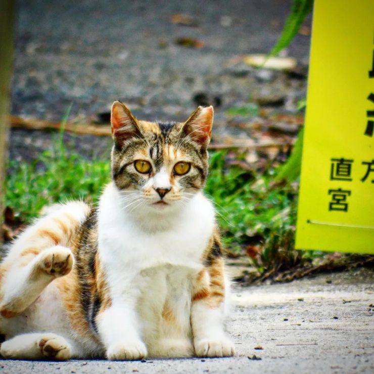 居場所