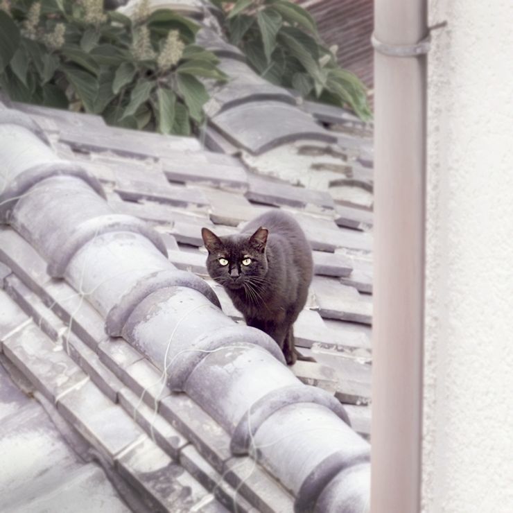 会社の窓から
