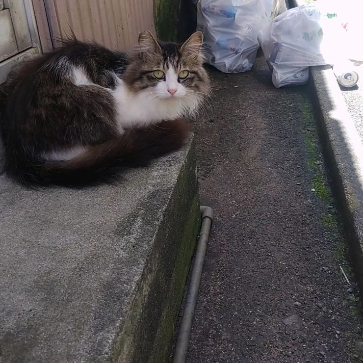 日陰で一休み