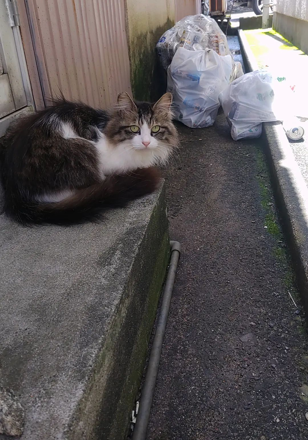 日陰で一休み