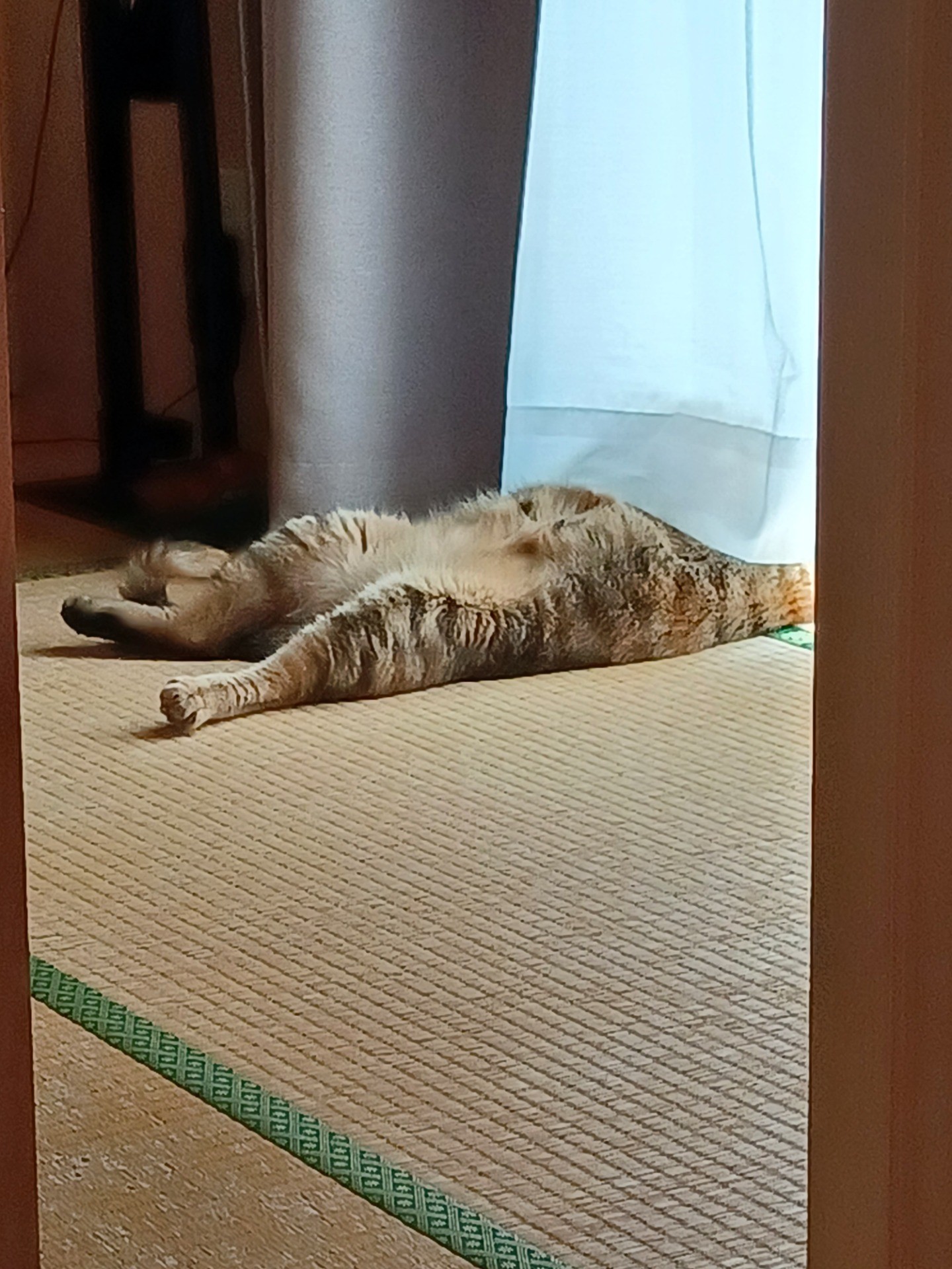 あーあ、、