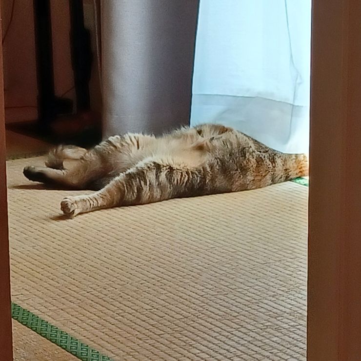 あーあ、、
