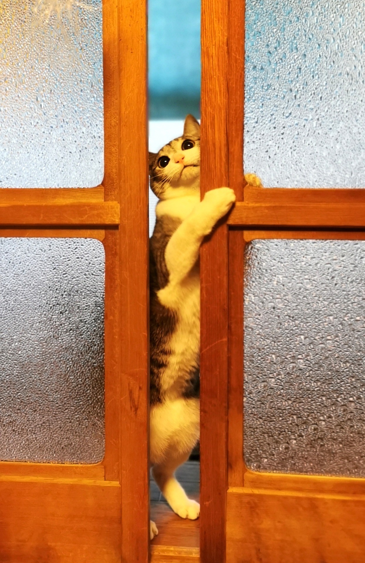 こだわり