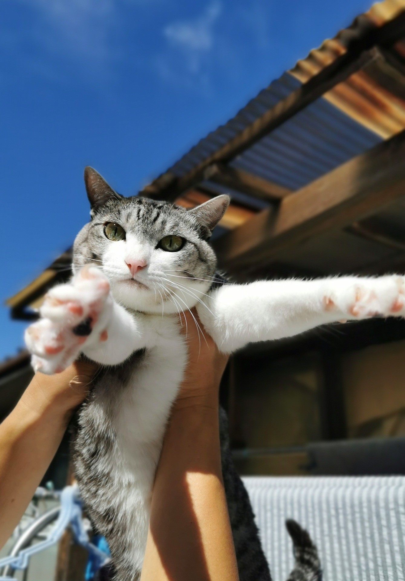 オコだぞ！！