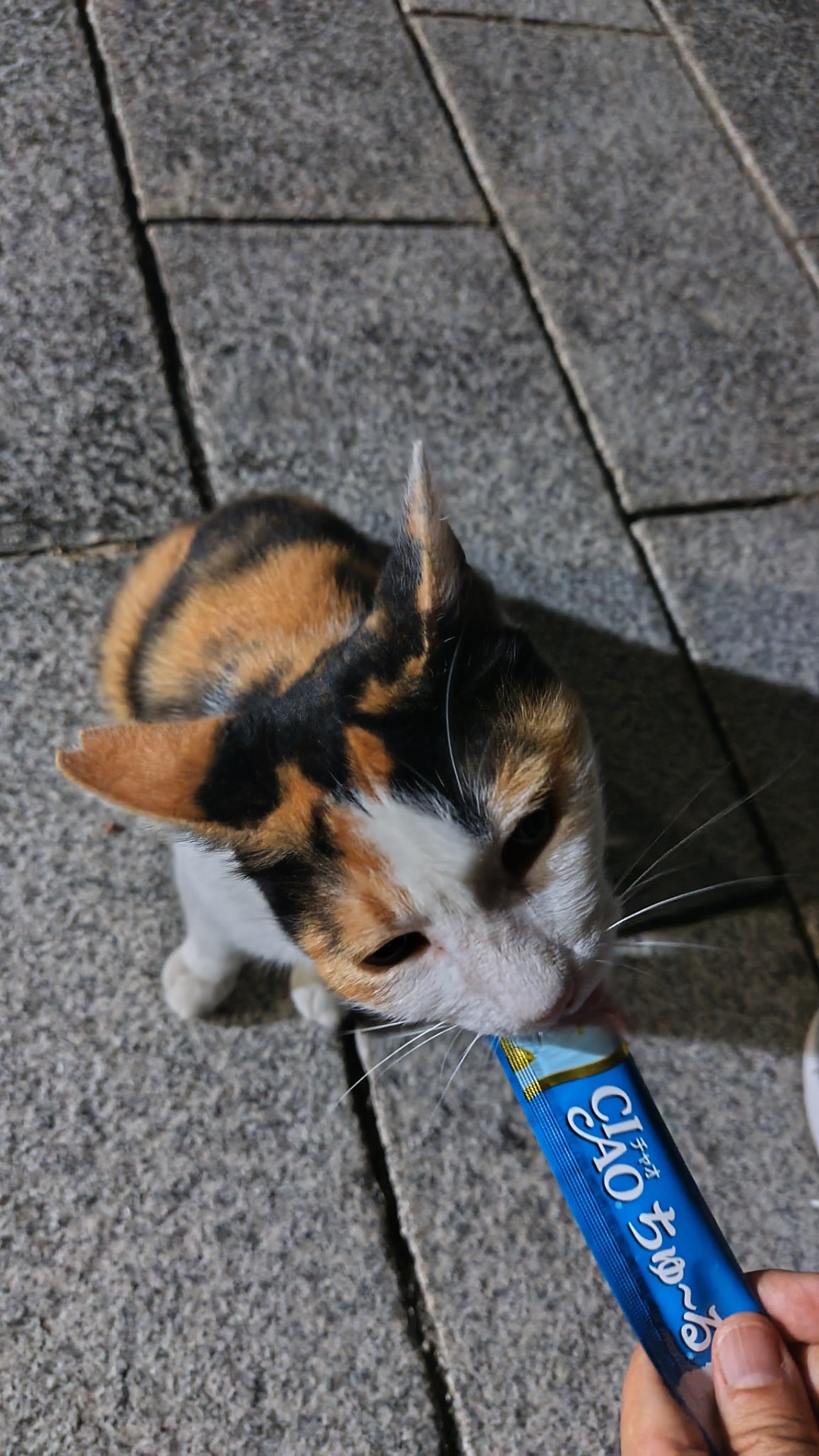 約束