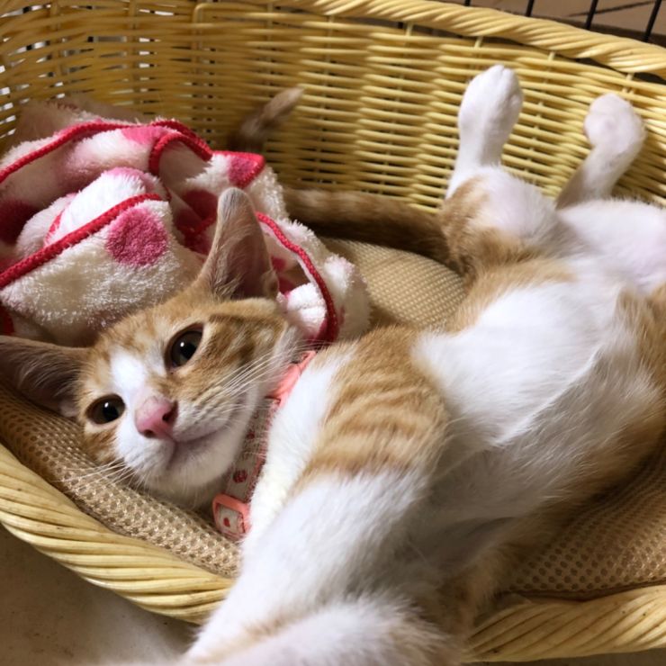 すっかりリラックス。
