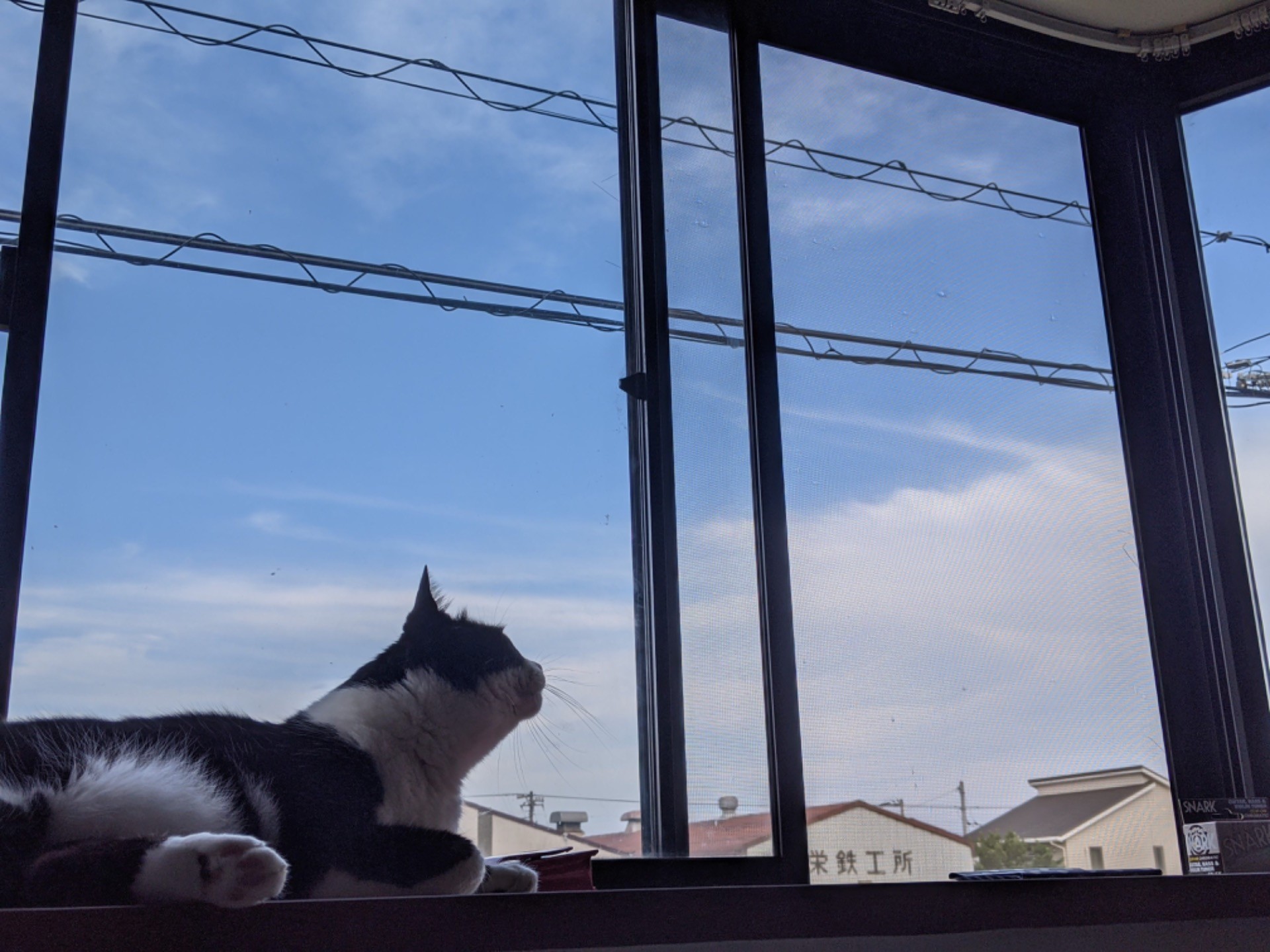 今日は晴れだ