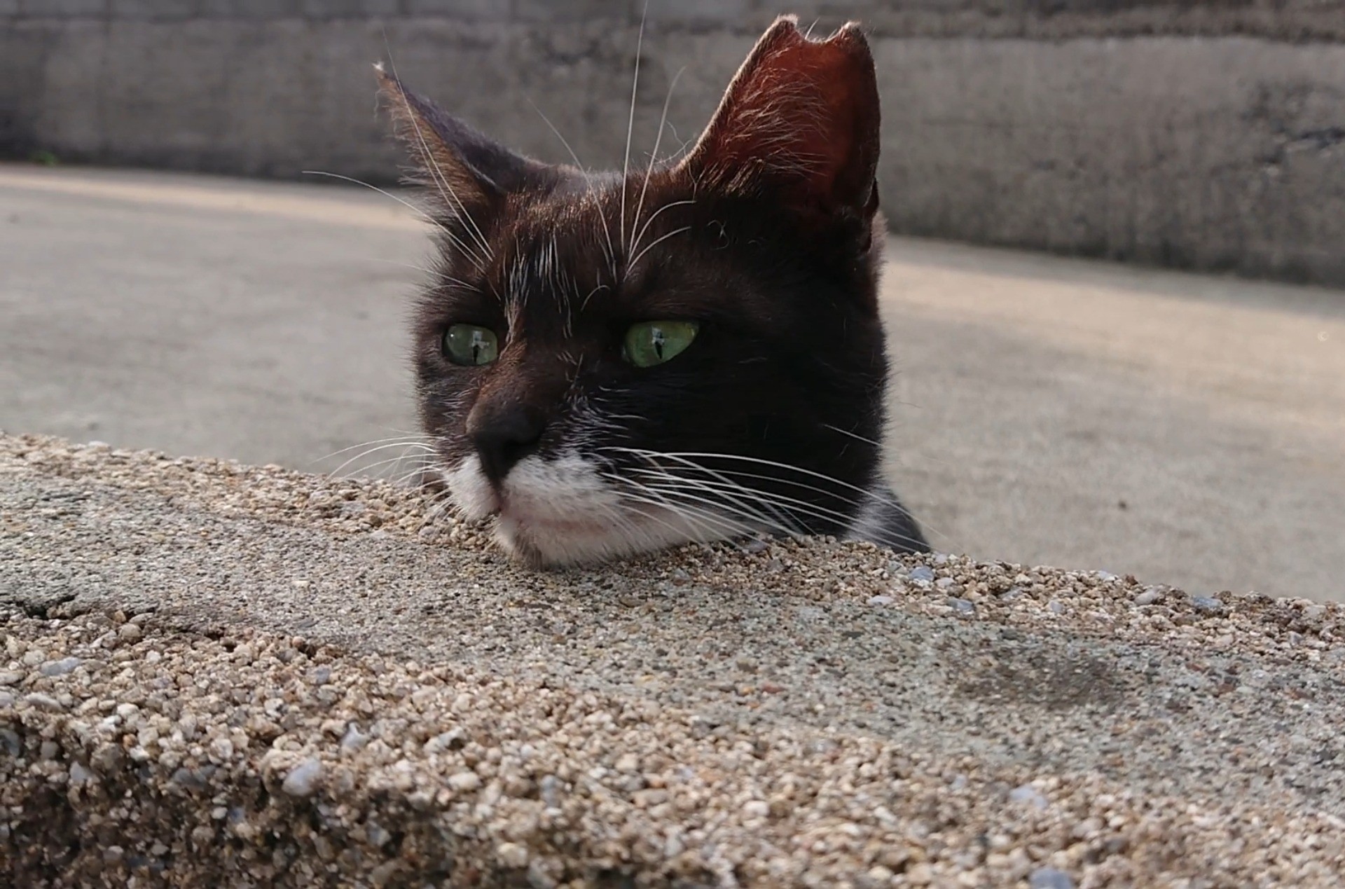 待ちぼうけ