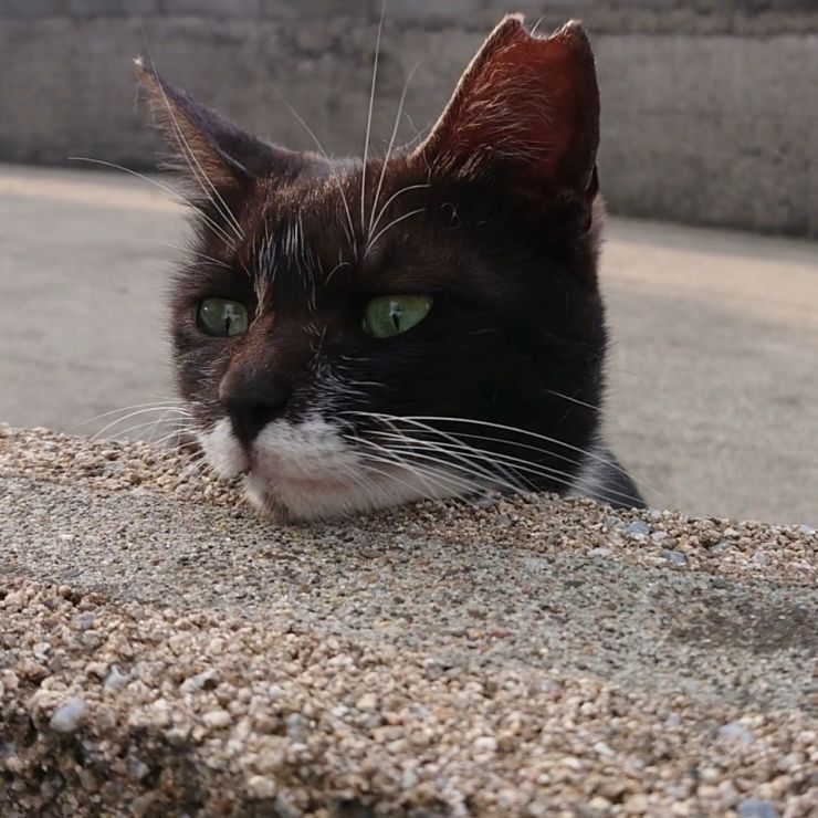 待ちぼうけ