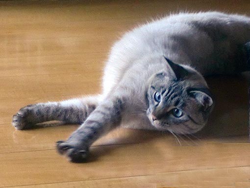 伸び〜っ。