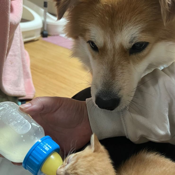 気になる！！