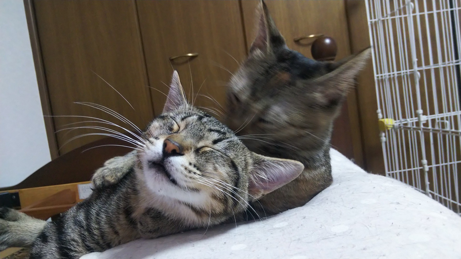 エヘヘ～