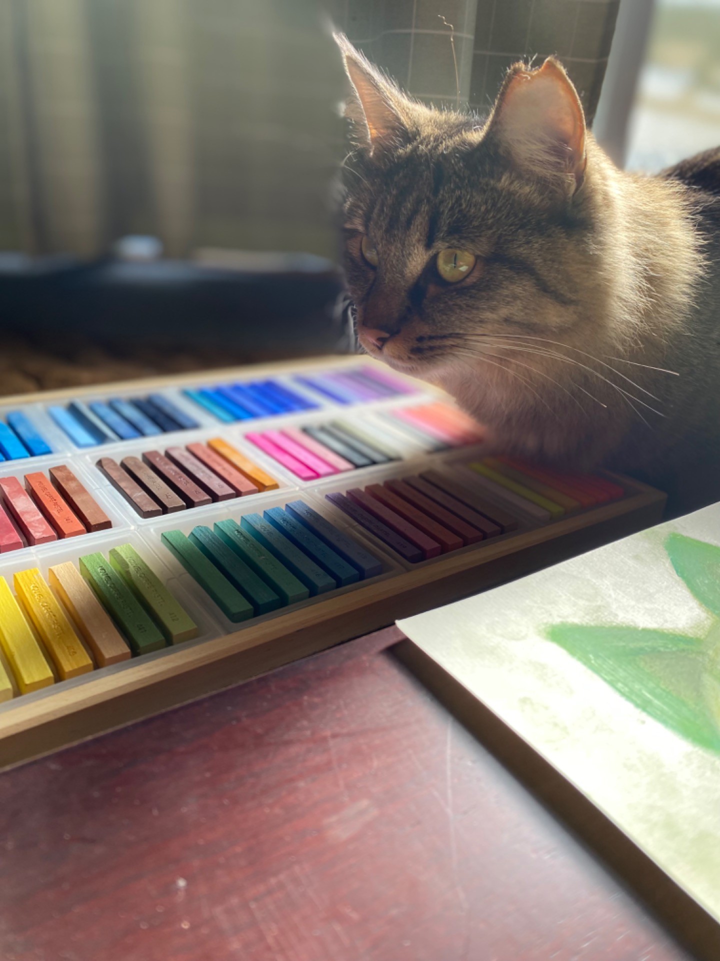 どの色がすき