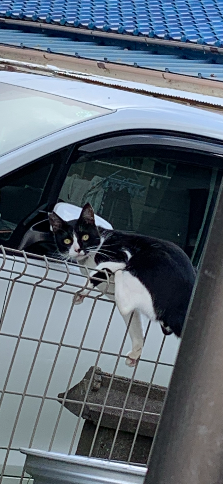 おばちゃん家行ってくる！