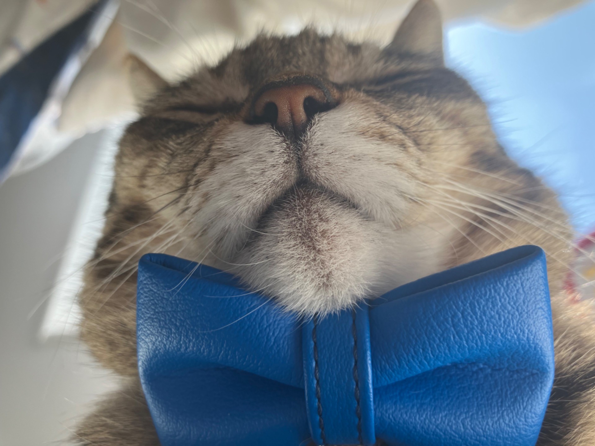 里帰り