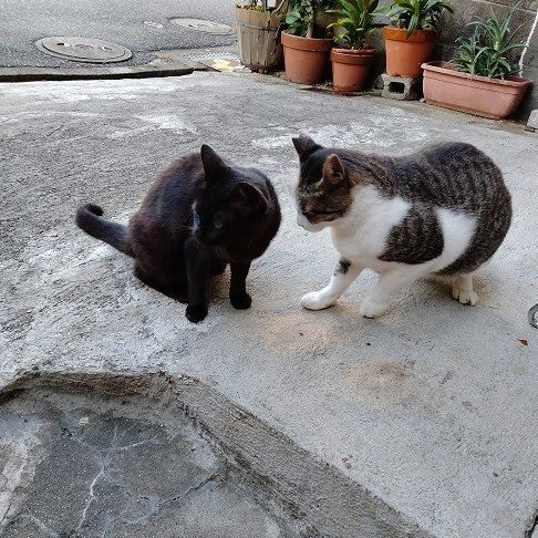 猛暑の中でのお付き合い