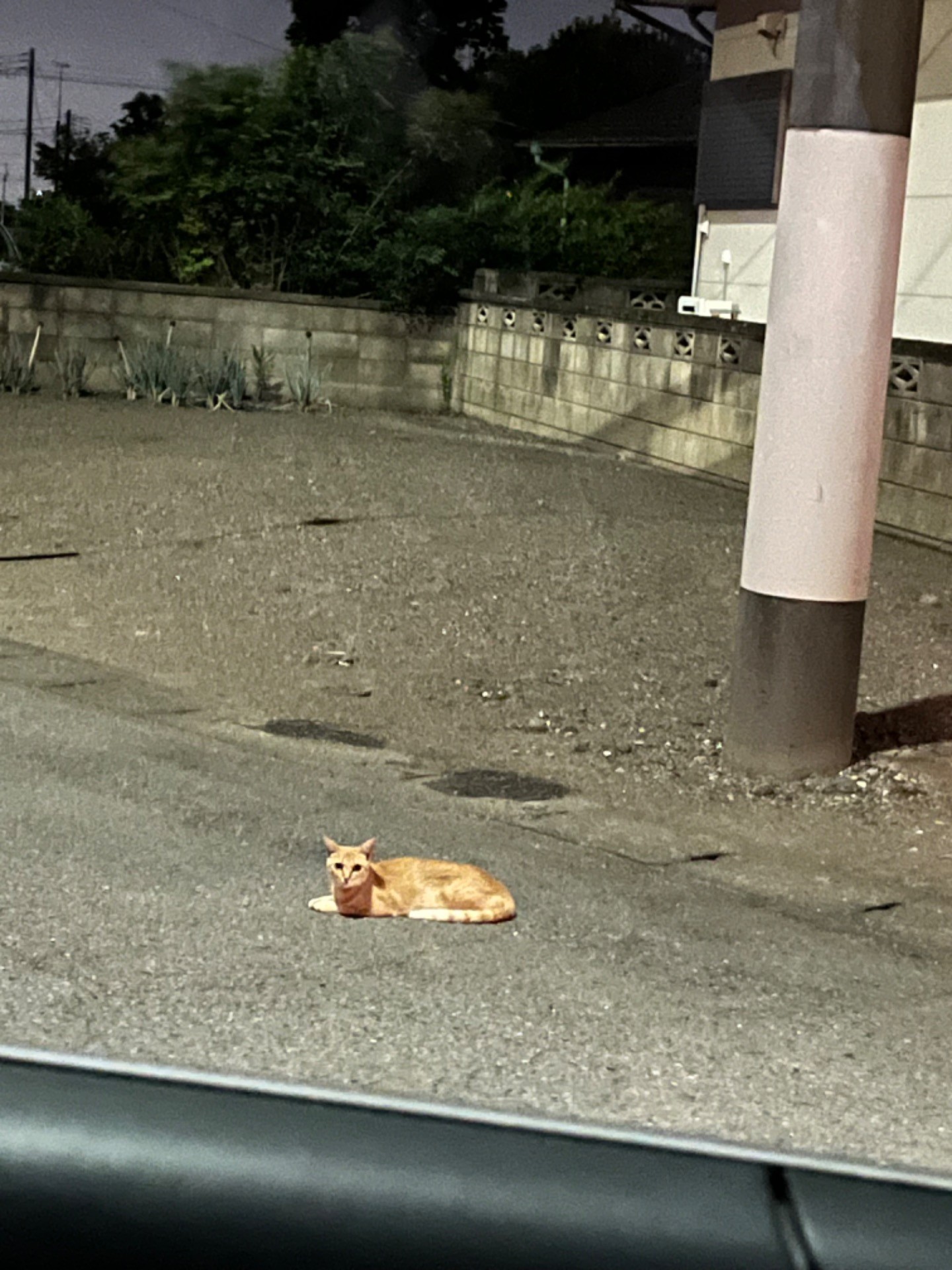 僕をおいて行かないで