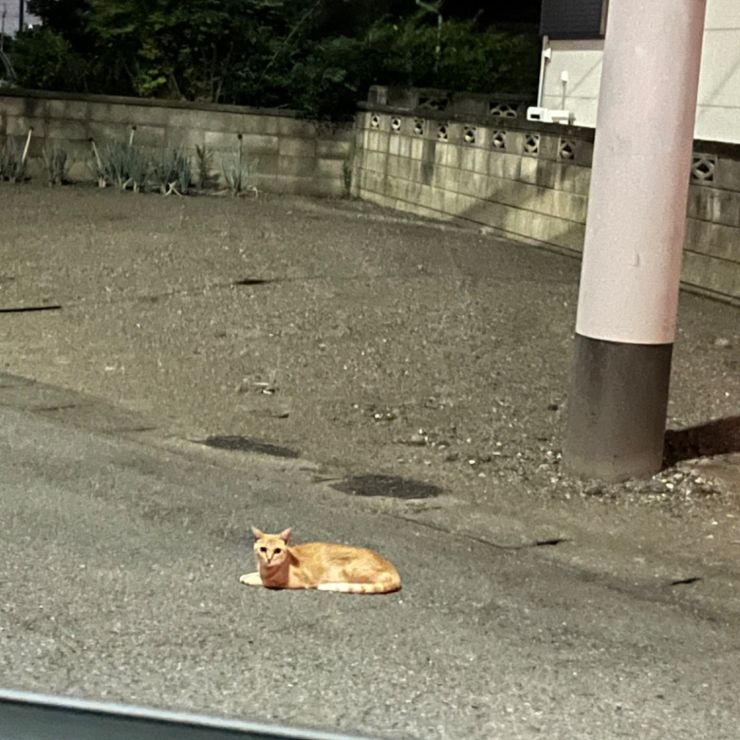 僕をおいて行かないで