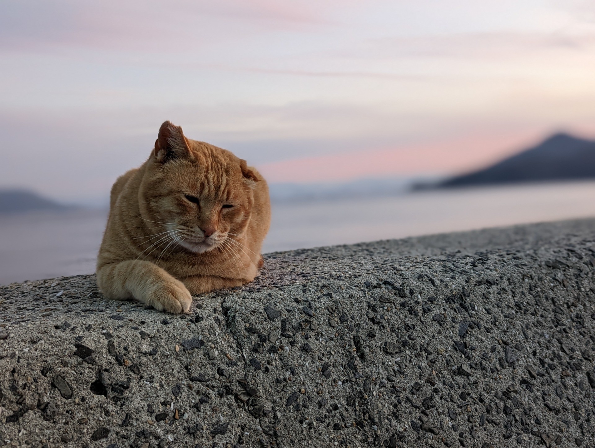 夕暮れの波音にまどろむ