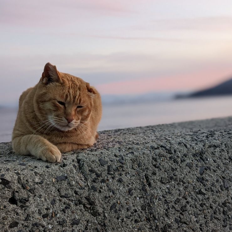夕暮れの波音にまどろむ