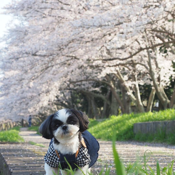 ちゃんと見ててね