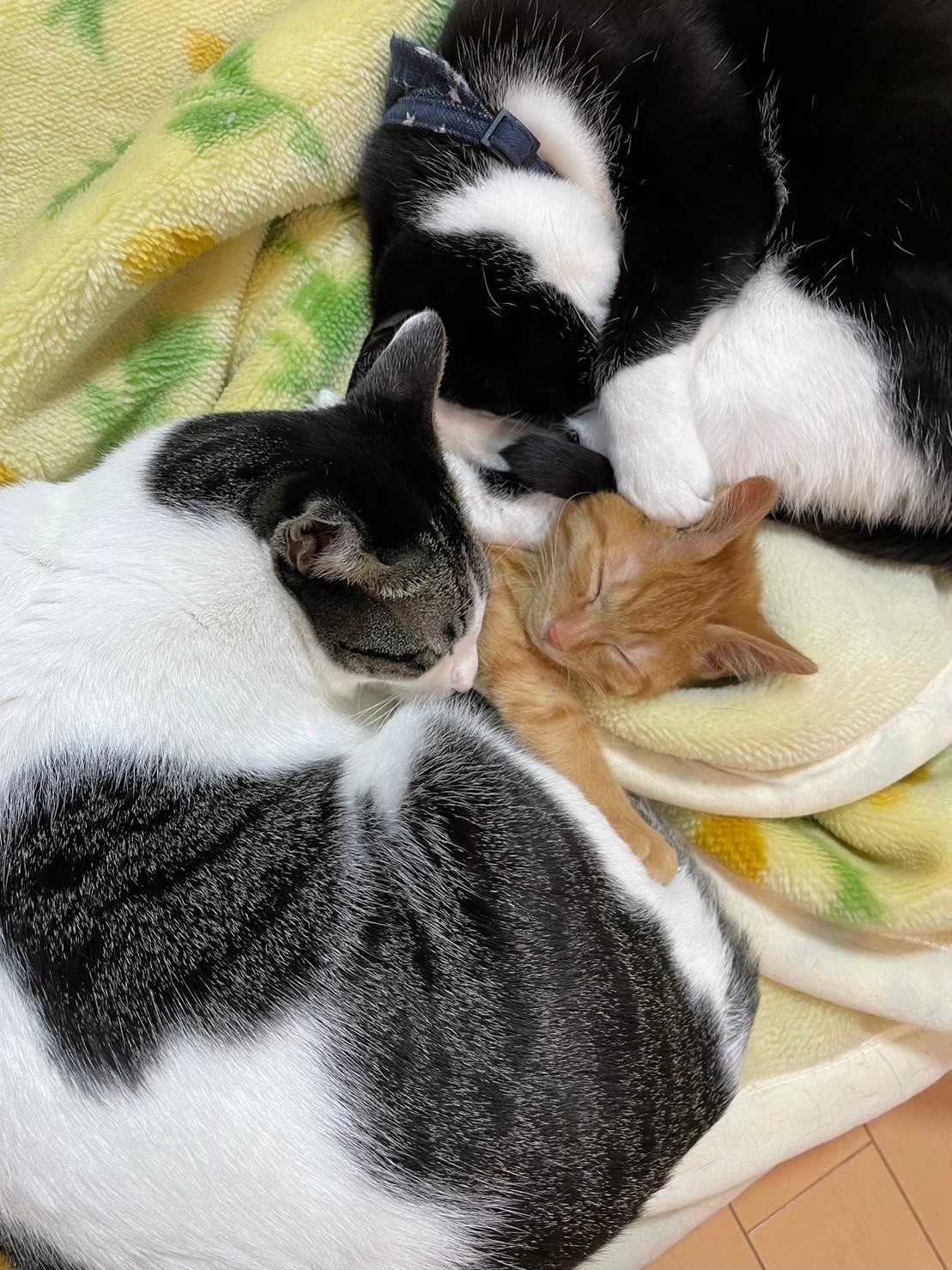 しあわせ❤︎
