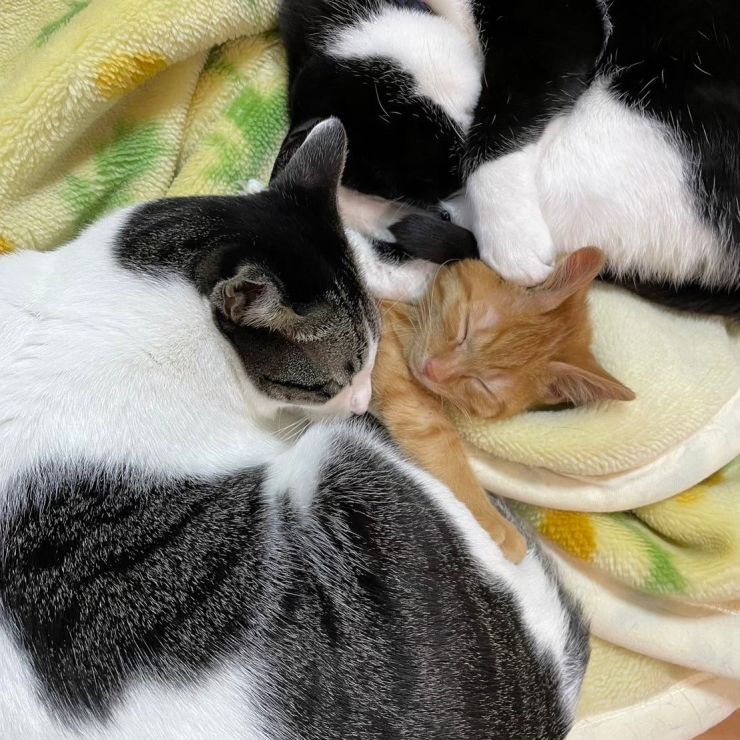 しあわせ❤︎