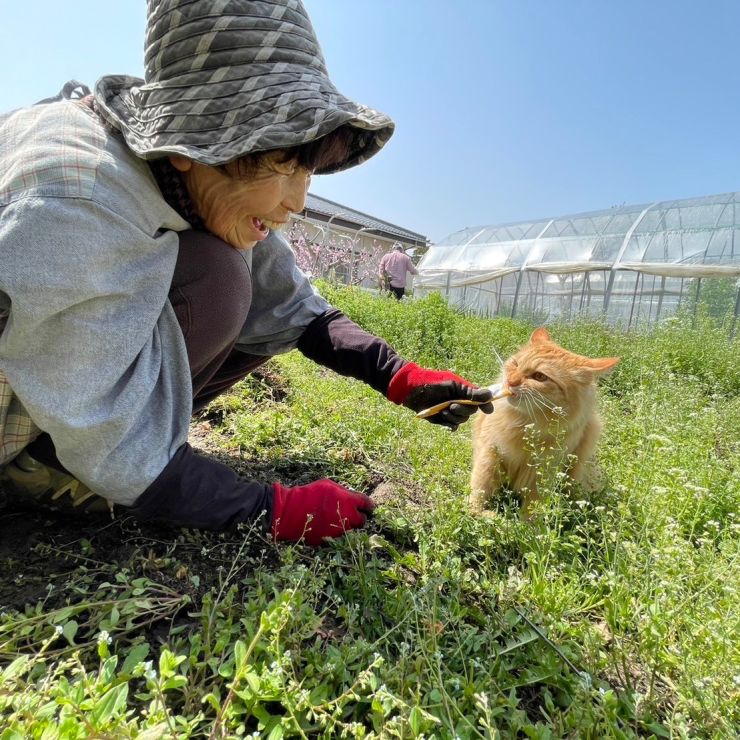 ばあちゃんと天