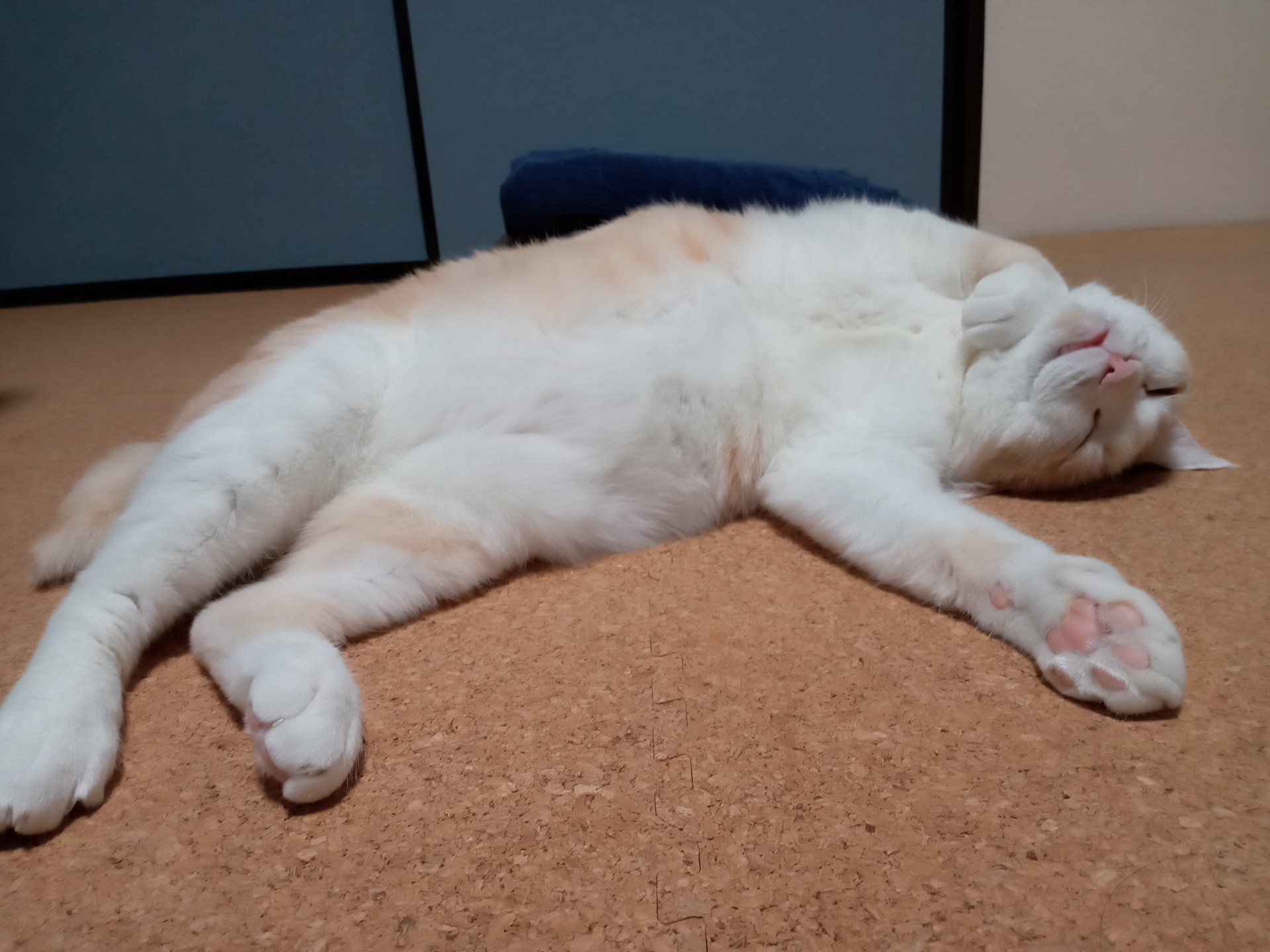 でれすけ