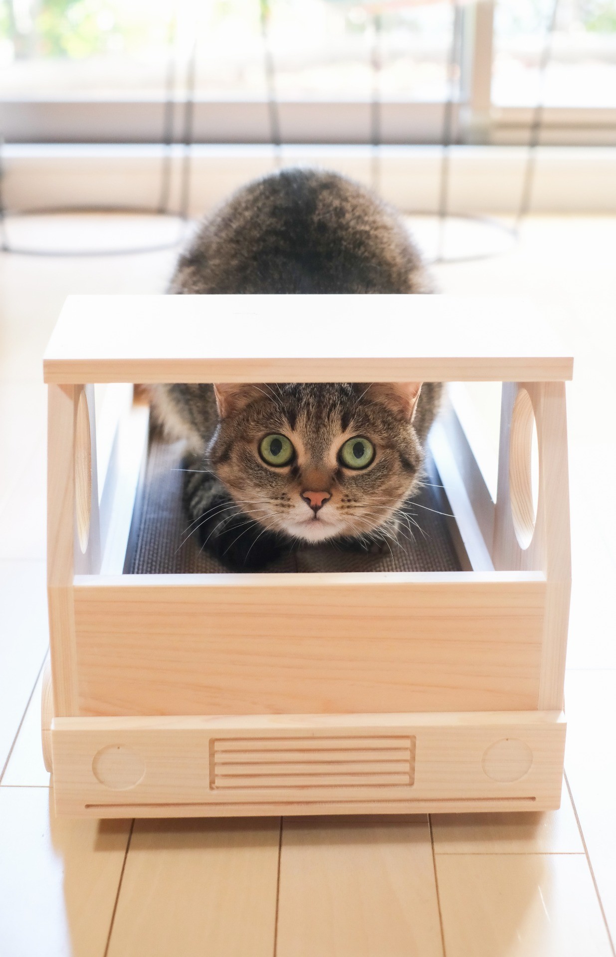 小さな運転手