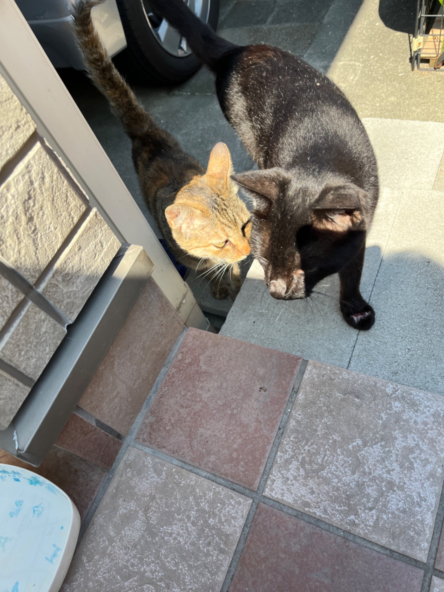 ご飯を催促に来た親子