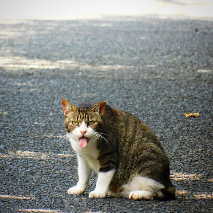 べーっ！