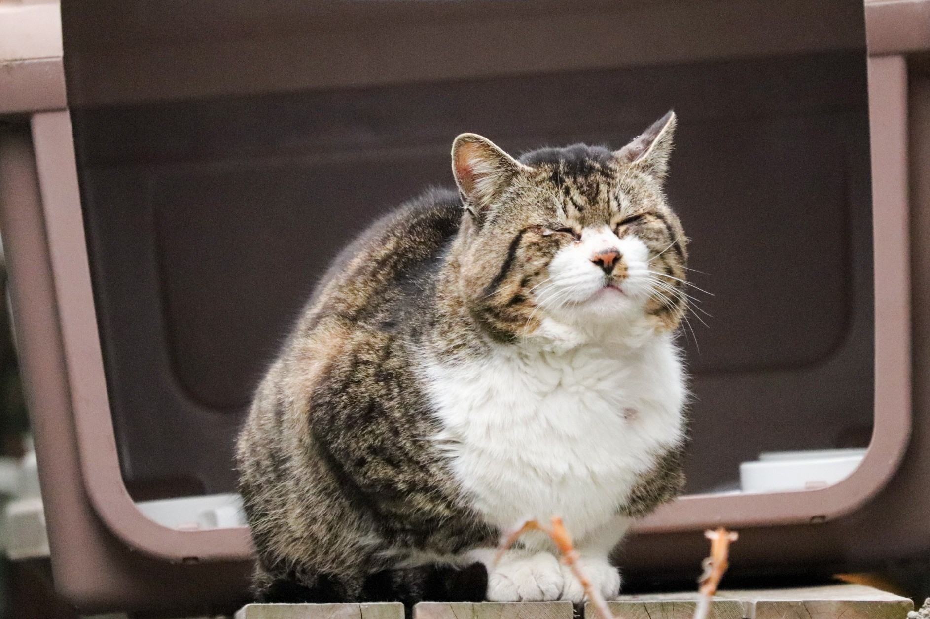 のんびり まったり♪