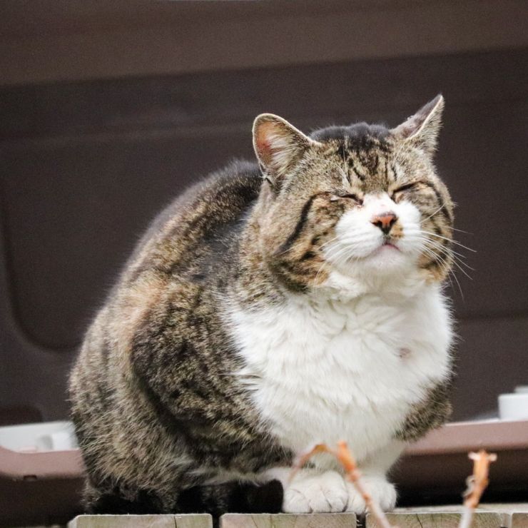 のんびり まったり♪