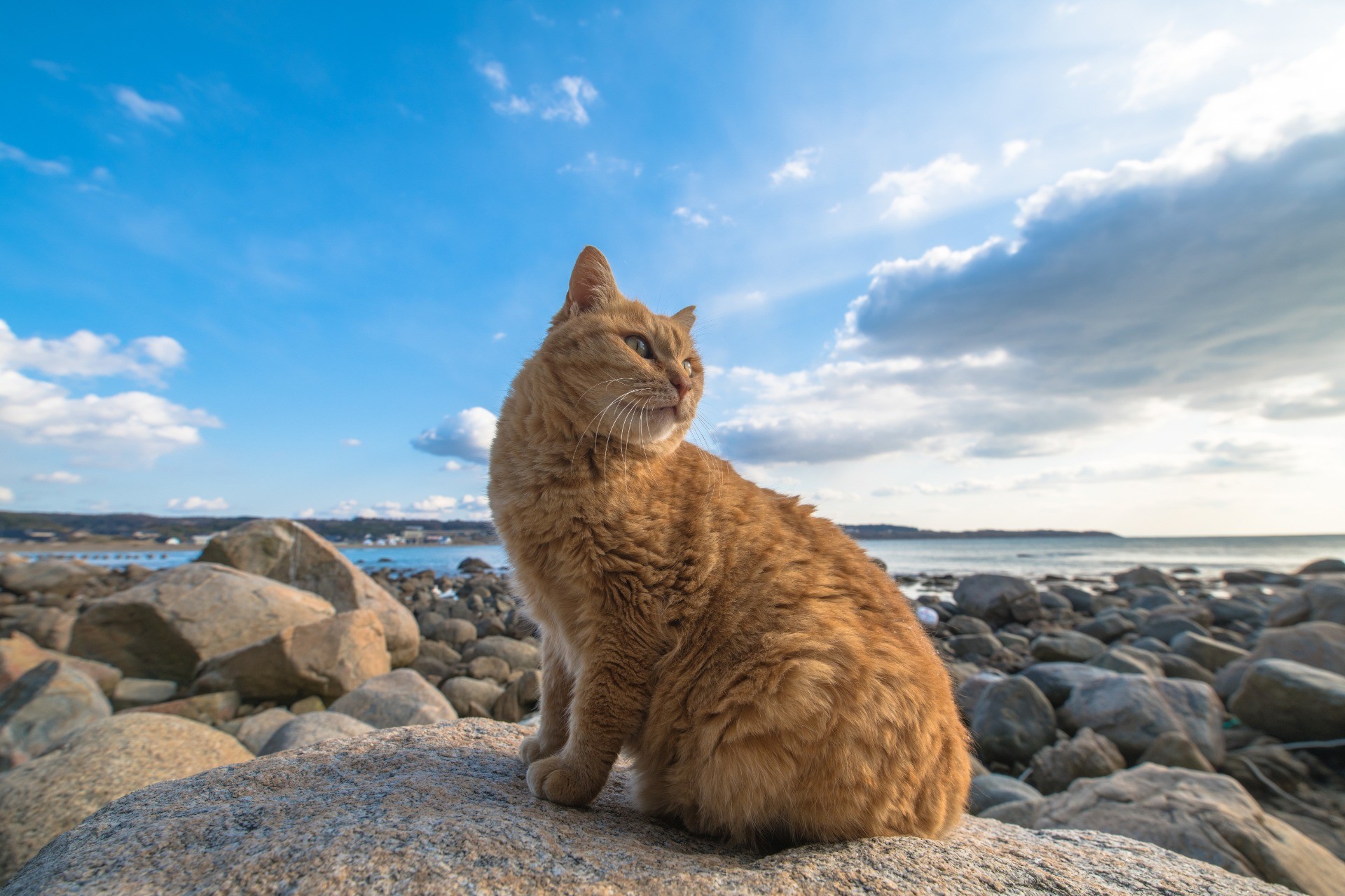 あのお空の向こうに