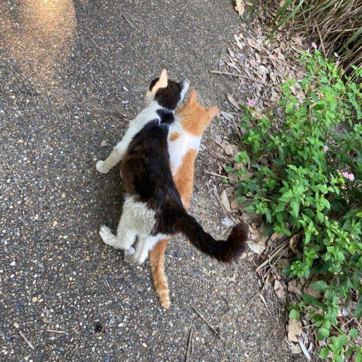 仲良し