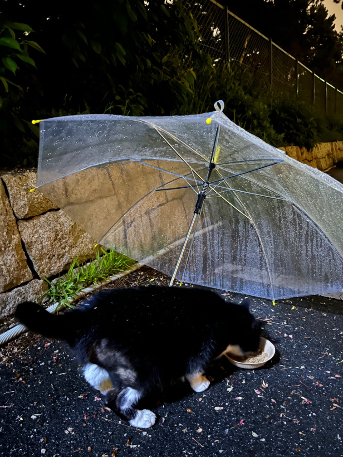 雨の日でもお腹は空くよね