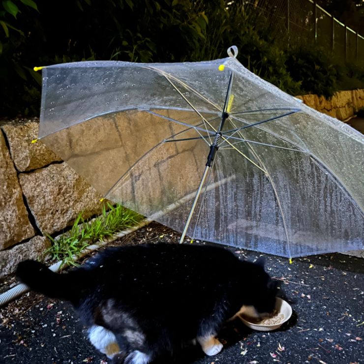 雨の日でもお腹は空くよね
